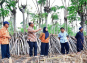 Pemerintah Provinsi Gorontalo Gerak Cepat Siapkan Lahan Sekolah Rakyat untuk Masyarakat
