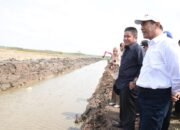 Gubernur Herman Deru Dampingi Staf Ahli Kementan Tinjau Program Cetak Sawah di Ogan Ilir