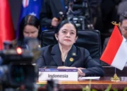 Puan Maharani Dorong Sinergi Indonesia-Korsel di Sektor Investasi Hijau dan Budaya