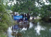 PT Timah Tebar Ribuan Bibit Ikan Endemik di Lahan Bekas Tambang Cambai