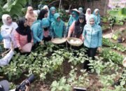 Resmikan Desa TAPIS, Ketua TP. PKK Provinsi Lampung Ajak Masyarakat Ambil Peran Bangun Ketahanan Pangan