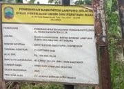 Pembangunan Bangunan Pengaman/Pelengkapan Jl. Ruas Kabupaten 25.24 Mengalami Kerusakan.