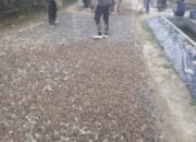 Proyek Jalan Lapen di Tiyuh Mulya Kencana Milik CV.Windi Jaya Putra Diduga Dikerjakan Asal-asalan