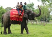 Lampung Masuk 10 Besar Tujuan Wisata Nasional, Pariwisata Dorong Perputaran Ekonomi Tembus Rp 53 Triliun pada 2025