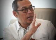 Pemprov Lampung Intensifkan Mitigasi Konflik Gajah, Upayakan Percepatan Pembangunan Tanggul