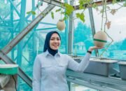 Panen Anggur dan Melon di PKK Agro Park, Ketua TP.PKK Provinsi Lampung Dorong Pemanfaatan Pekarangan Produktif