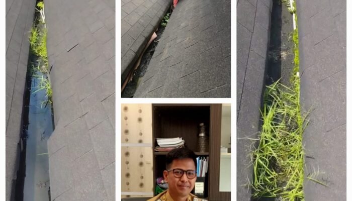 Dinas PUPR Tubaba Gerak Cepat Perbaiki Talang Air Gedung Sesat Agung Tersumbat Kotoran Lumut