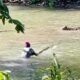 Mencekam! Buaya Lebih dari 2 Meter Serang Anak Sapi di Sukabumi, Warga Berjibaku Menyelamatkan