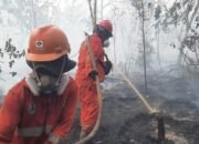Asap Karhutla Sampai Malaysia-Singapura, DPR Minta Negara Tetangga Ikut Cegah Kebakaran