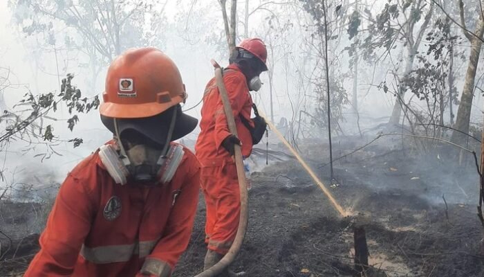 Asap Karhutla Sampai Malaysia-Singapura, DPR Minta Negara Tetangga Ikut Cegah Kebakaran