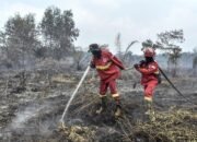Hotspot Karhutla Terdeteksi di 6 Provinsi, BNPB Ungkap Wilayah dengan Titik Panas Terbanyak