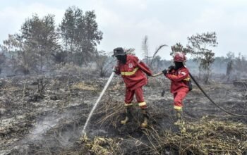 Hotspot Karhutla Terdeteksi di 6 Provinsi, BNPB Ungkap Wilayah dengan Titik Panas Terbanyak