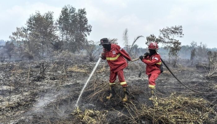 Hotspot Karhutla Terdeteksi di 6 Provinsi, BNPB Ungkap Wilayah dengan Titik Panas Terbanyak
