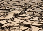 BMKG Ungkap Juli 2026 Jadi Bulan Terpanas Sejak 1991, El Nino Diprediksi Bertahan hingga 2027