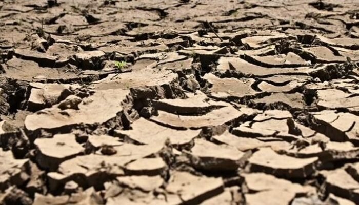 BMKG Ungkap Juli 2026 Jadi Bulan Terpanas Sejak 1991, El Nino Diprediksi Bertahan hingga 2027