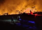 413 Titik Karhutla Membara di Kaltim, DPR Desak Pemerintah Jangan Tunggu Sampai Darurat