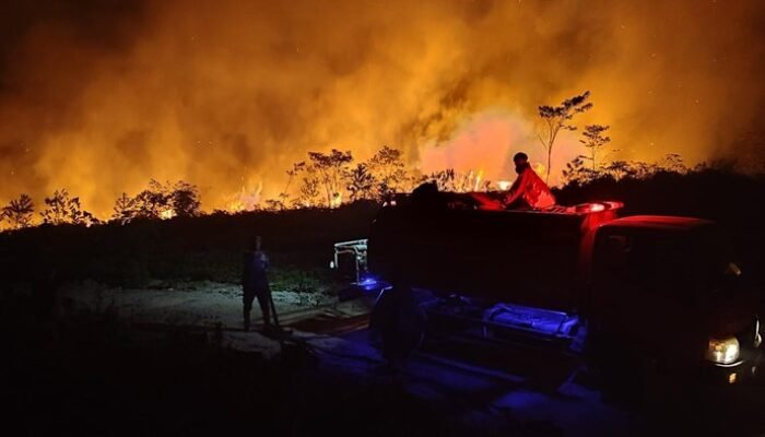413 Titik Karhutla Membara di Kaltim, DPR Desak Pemerintah Jangan Tunggu Sampai Darurat