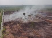 Polda Riau Bongkar Kasus Karhutla di Area HGU, Dua Tersangka Diamankan