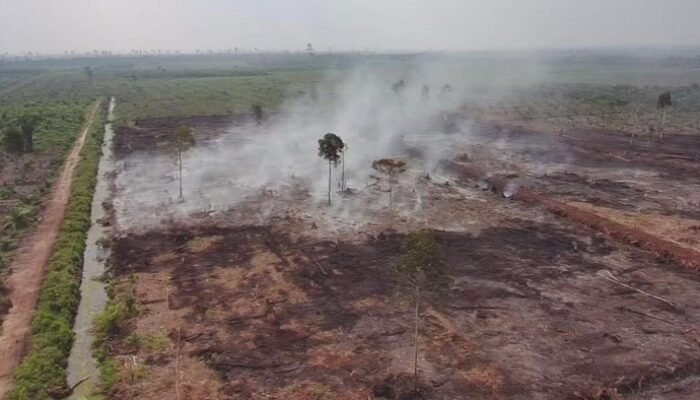 Polda Riau Bongkar Kasus Karhutla di Area HGU, Dua Tersangka Diamankan