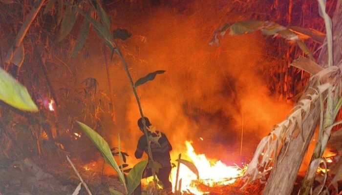 Puntung Rokok Jadi Biang Kerok? Kebakaran Lahap 6 Hektare Lahan di Pandeglang
