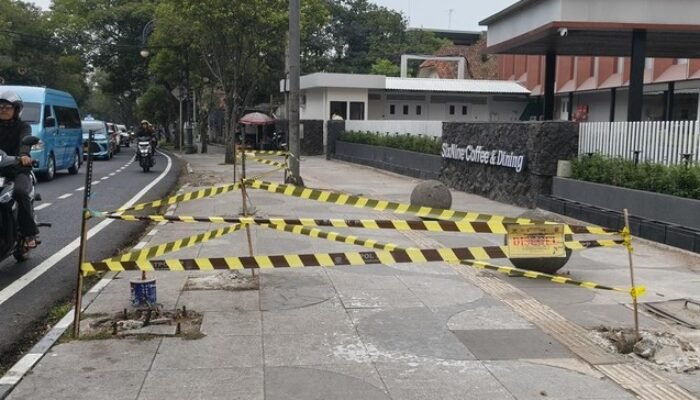 Wali Kota Bandung Murka! Pengelola Lapangan Padel Dipanggil Usai Penebangan Pohon Diduga Ilegal
