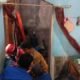 Butuh 12 Personel! Proses Evakuasi Wanita 300 Kg di Sragen Berlangsung Selama Satu Jam