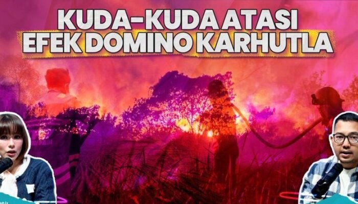Karhutla Makin Meluas, DPR Ungkap Puncak El Nino Bisa Bikin Kebakaran Tambah Parah