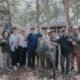 Pemprov Lampung Dorong Keseimbangan Konservasi Gajah dan Aktivitas Masyarakat