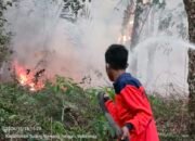 Dua Titik Karhutla di Tulang Bawang dan Lamteng Terkendali, BPBD Sampaikan Pesan Gubernur: Tingkatkan Kewaspadaan Karhutla